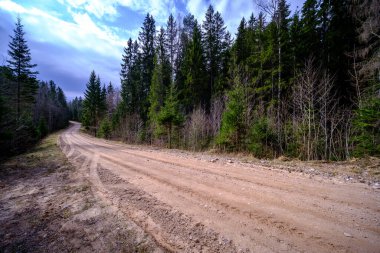 Yazın toprak yol kenarları çimlerle kaplı, perspektifli çakıl taşları.