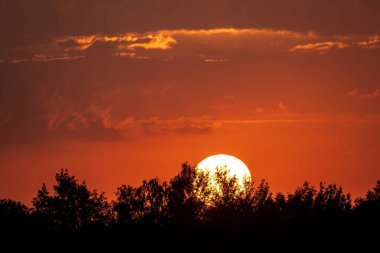 Gölün üzerinde güzel, kırmızı gün batımı ve ön tarafta çimenler.