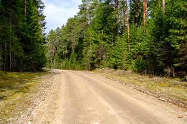 Yazın toprak yol kenarları çimlerle kaplı, perspektifli çakıl taşları.