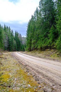 Yazın toprak yol kenarları çimlerle kaplı, perspektifli çakıl taşları.