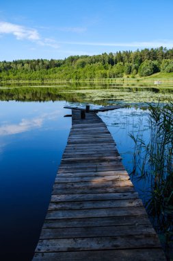 Yeşil sonbahar ormanında tahta patika. Bakış açısı, merdivenler ve ağaç yapraklarıyla.