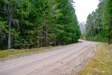 Yazın toprak yol kenarları çimlerle kaplı, perspektifli çakıl taşları.