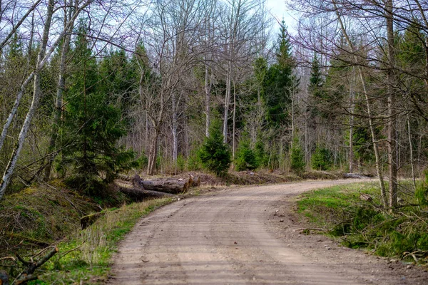 Campagna Sterrato Strada Ghiaia Prospettiva Estate Con Erba Sui Lati — Foto Stock