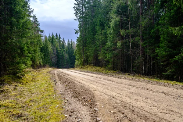 Campagna Sterrato Strada Ghiaia Prospettiva Estate Con Erba Sui Lati — Foto Stock