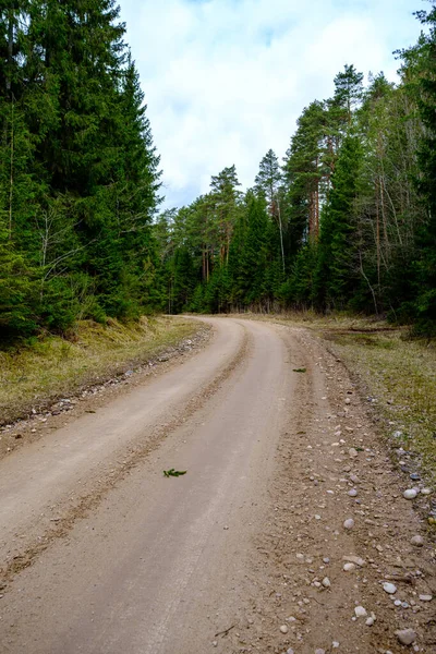 Campagna Sterrato Strada Ghiaia Prospettiva Estate Con Erba Sui Lati — Foto Stock