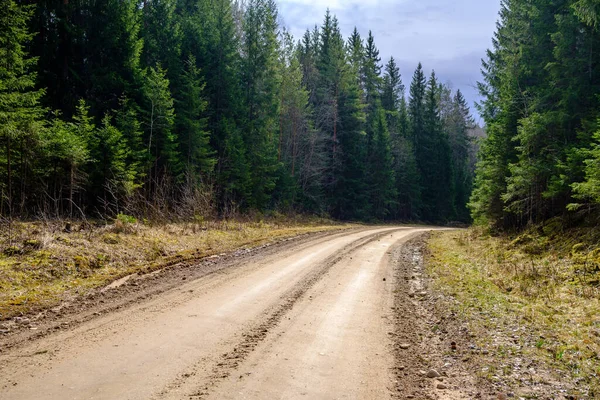 Countryside Dirt Road Gravel Perspective Summer Grass Sides — Stock Photo, Image