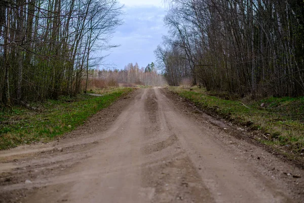 Campagna Sterrato Strada Ghiaia Prospettiva Estate Con Erba Sui Lati — Foto Stock