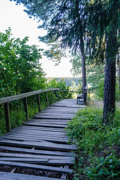 Kayu Boardwalk Trail Hutan Musim Gugur Hijau Dengan Perspektif Dan — Stok Foto