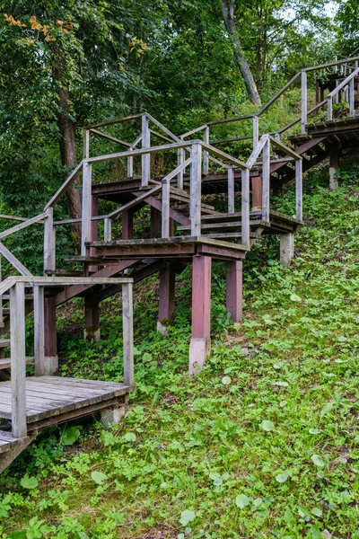 Holzsteg Grünen Herbstwald Mit Perspektive Und Treppen Und Laub — Stockfoto