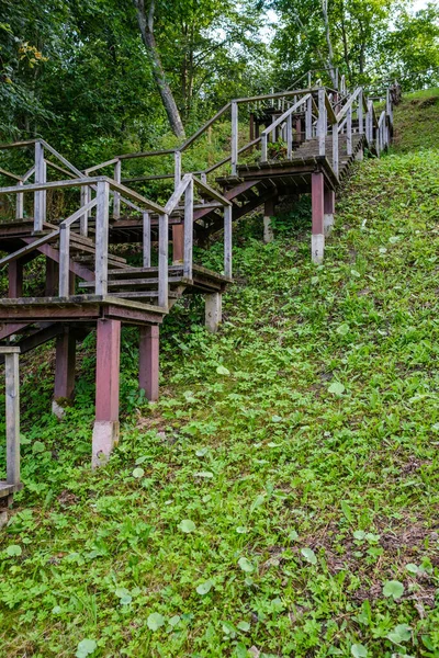 Sendero Madera Bosque Verde Otoñal Con Perspectiva Escaleras Hojas Árboles —  Fotos de Stock