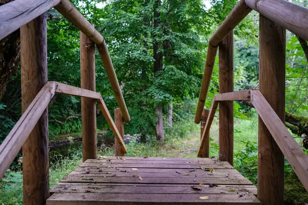 Sendero Madera Bosque Verde Otoñal Con Perspectiva Escaleras Hojas Árboles — Foto de Stock