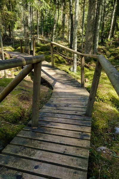 Holzsteg Grünen Herbstwald Mit Perspektive Und Treppen Und Laub — Stockfoto