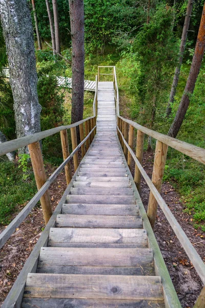 Sendero Madera Bosque Verde Otoñal Con Perspectiva Escaleras Hojas Árboles —  Fotos de Stock