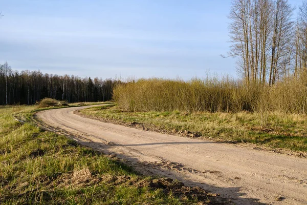 Yazın Toprak Yol Kenarları Çimlerle Kaplı Perspektifli Çakıl Taşları — Stok fotoğraf