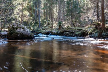 Ormanda yüksek su kaynağı, kahverengi su ve derede eski ahşap kütükler. uzun pozlama havası