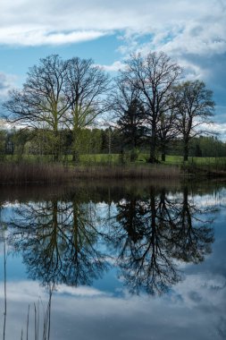 Mavi gökyüzü, bahar ağaçları ve ayna yüzeyi ile berrak su göletinde yansıyor.