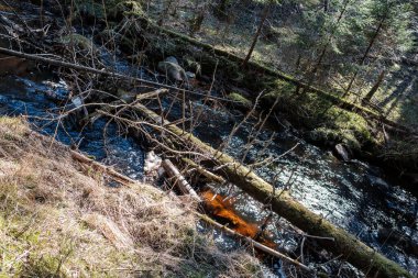 Ormanda yüksek su kaynağı, kahverengi su ve derede eski ahşap kütükler. uzun pozlama havası