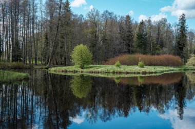 Mavi gökyüzü, bahar ağaçları ve ayna yüzeyi ile berrak su göletinde yansıyor.