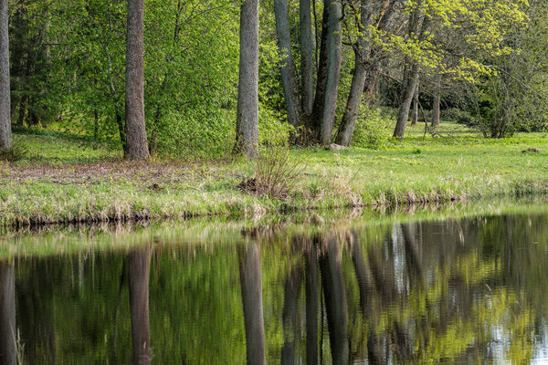 blue sky reflections in clear water pond with spring trees and mirror surface