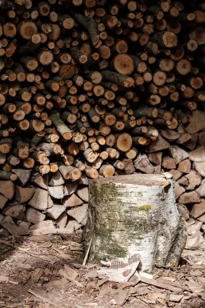 Vedstockens Struktur Naturen Trä Kaos Mönster — Stockfoto