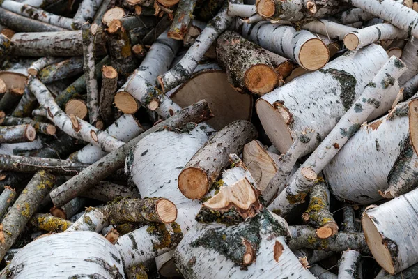 Firewood Log Texture Nature Wood Chaos Pattern — Stock Photo, Image