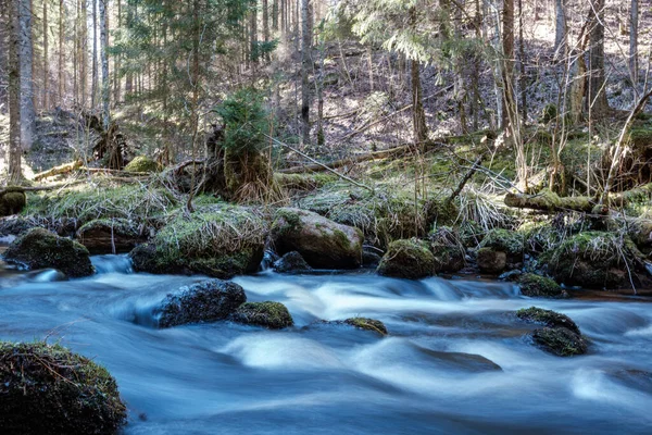 high water spring rinver in woods with brown water and old wooden logs in stream. long exposure mood