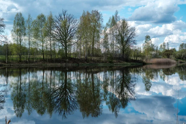 Blauer Himmel Spiegelt Sich Klarem Teich Mit Quellbäumen Und Spiegelfläche — Stockfoto