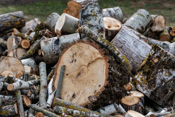 Firewood Log Texture Nature Wood Chaos Pattern — Stock Photo, Image