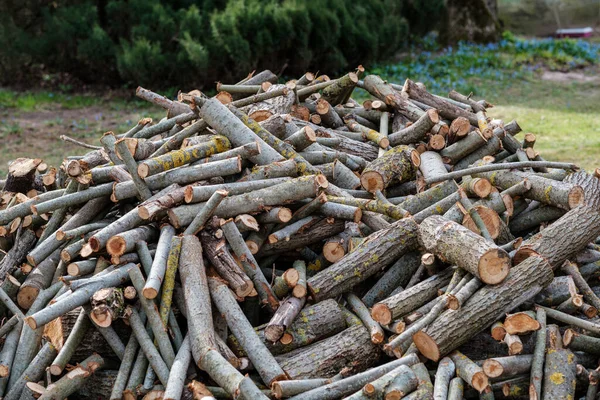 Firewood Log Texture Nature Wood Chaos Pattern — Stock Photo, Image