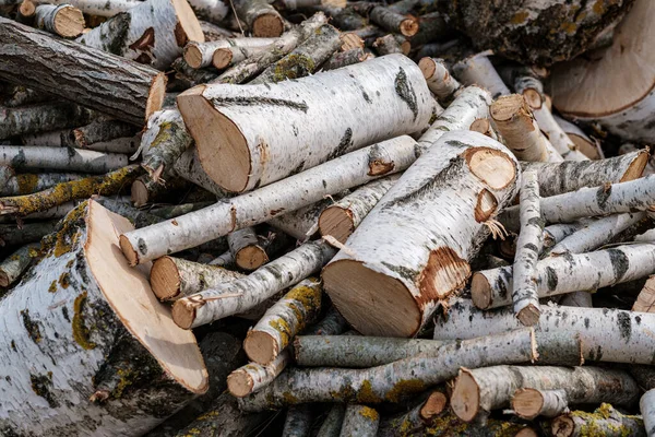 Firewood Log Texture Nature Wood Chaos Pattern — Stock Photo, Image