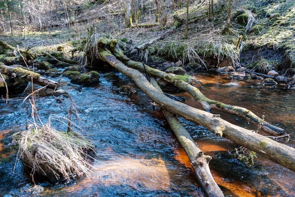 high water spring rinver in woods with brown water and old wooden logs in stream. long exposure mood