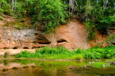 Letonya 'da Amata nehrindeki kum taşı kayalıkları yüksek seviye ve yeşil yapraklı yaz su akıntısı