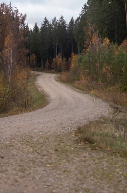 Gökyüzünde toz ve güneş ışınları olan sonsuz güzel taşra yolu. Geleceği gezmek