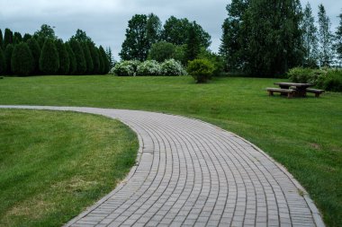 Enmpty Forest Yolu 'nda traktör tekerlek izleri ve yeşil doğa var.