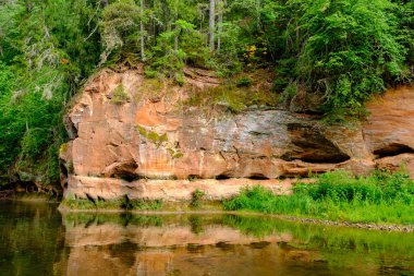 Letonya 'da Amata nehrindeki kum taşı kayalıkları yüksek seviye ve yeşil yapraklı yaz su akıntısı