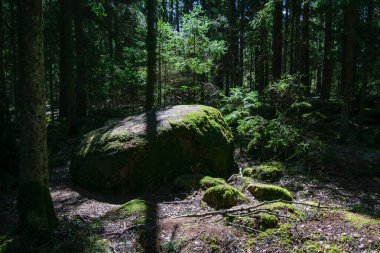 Kırsal bölgedeki yaz bahçesinde yeşil çayırlarda taş yığınları.