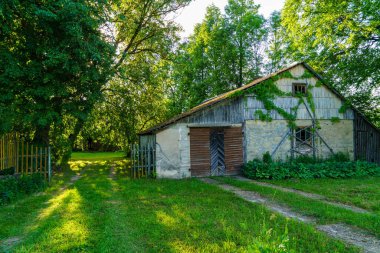 Yeşil yaz bahçesi manzarası çimenli, ağaçlı ve çiçekli.