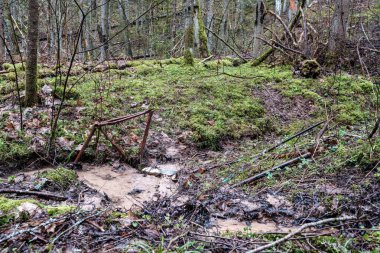 Baharın başlarında çamurlu su ve ıslak yeşil yapraklarla dolu boş bir nehir yatağı. Yapraksız ağaçlar, geniş açı.