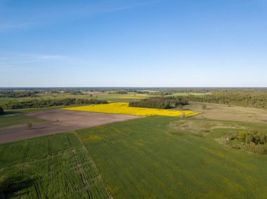 Yazlık alanlar, kırsal bölgelerdeki yollar güzel gökyüzü ve bulutlu İHA görüntülerinden