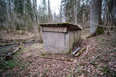 Baharın başlarında çamurlu su ve ıslak yeşil yapraklarla dolu boş bir nehir yatağı. Yapraksız ağaçlar, geniş açı.