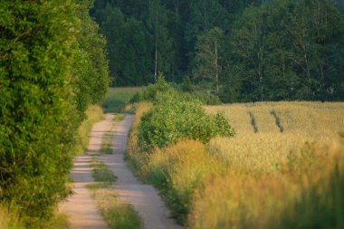 Gökyüzünde toz ve güneş ışınları olan sonsuz güzel taşra yolu. Geleceği gezmek