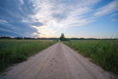 Gökyüzünde toz ve güneş ışınları olan sonsuz güzel taşra yolu. Geleceği gezmek