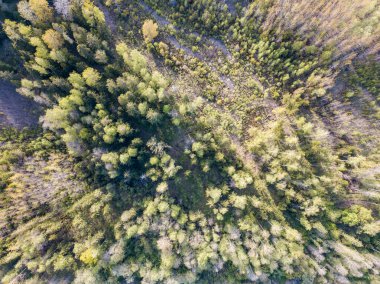 Yazın yol ağıyla soyut alan ve ülke modelleri