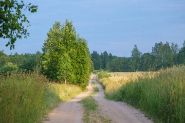 Gökyüzünde toz ve güneş ışınları olan sonsuz güzel taşra yolu. Geleceği gezmek