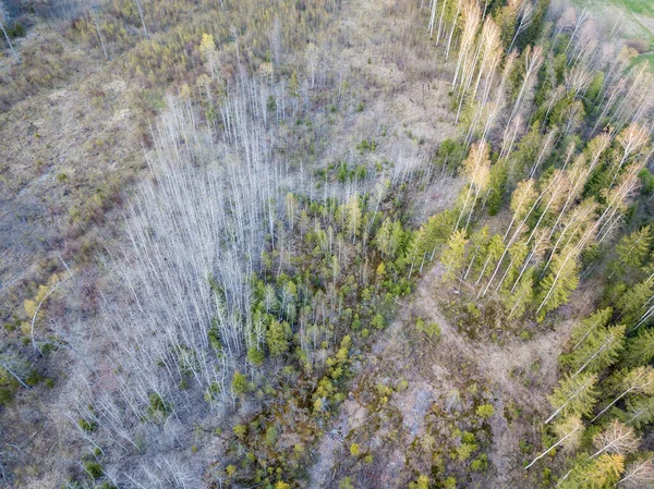 Padrões Campo País Abstratos Verão Com Rede Rodoviária — Fotografia de Stock