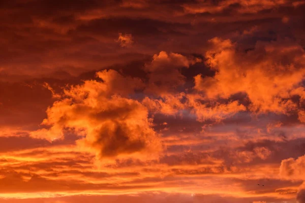 Drammatico Tramonto Rosso Scuro Sui Campi Città Con Distinte Nuvole — Foto Stock