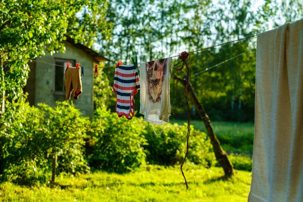 Yeşil Yaz Bahçesi Manzarası Çimenli Ağaçlı Çiçekli — Stok fotoğraf