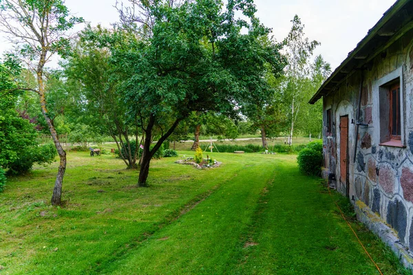 Verde Escena Jardín Verano Campo Con Hierba Árboles Sol Con — Foto de Stock