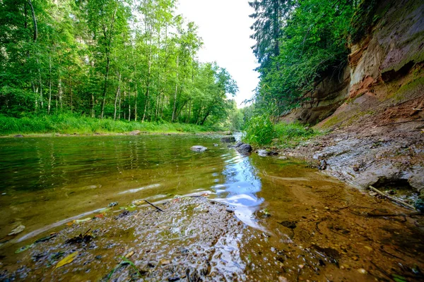 Falaises Grès Sur Rivière Amata Lettonie Ruisseau Eau Été Avec — Photo