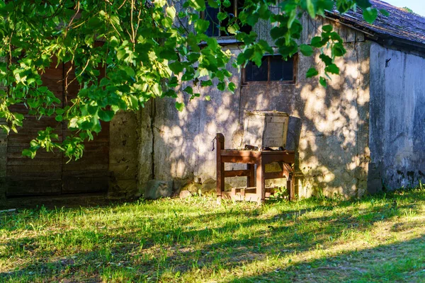 green summer garden scene in countryside with grass, trees and sunshine with flowers